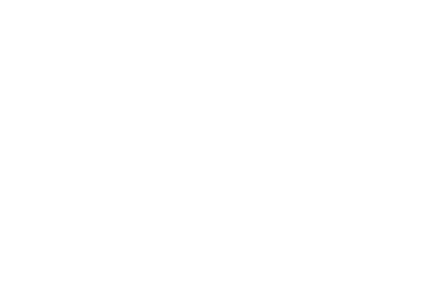 TransViet Cargo